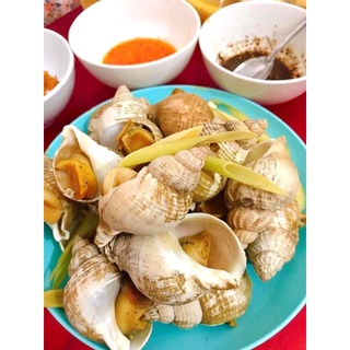 Ốc Bulot Pháp nhập khẩu gói 1kg
