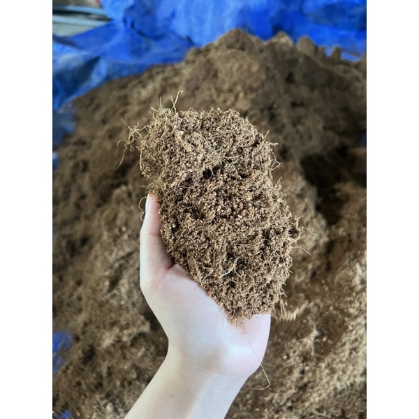 1Kg Mụn & Xơ Dừa trồng rau mầm, hoa hồng, hoa lan, ươm cây, phủ đất, trộn đất tơi xốp trồng rau ăn lá ăn củ