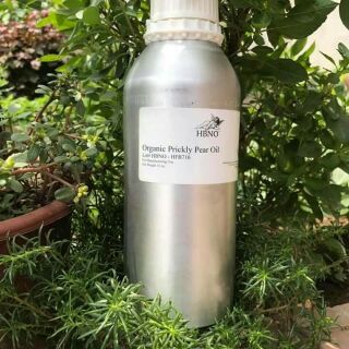 Dầu hạt xương rồng HBNO  (OIL XƯƠNG RỒNG)