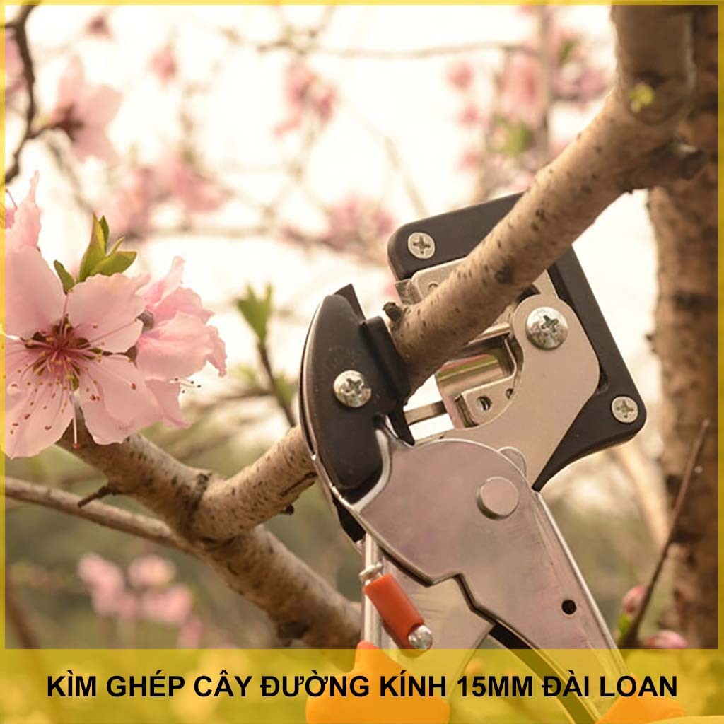 Kìm ghép cây Đài Loan cỡ 13mm lưỡi Ω V thép SK5 không gỉ