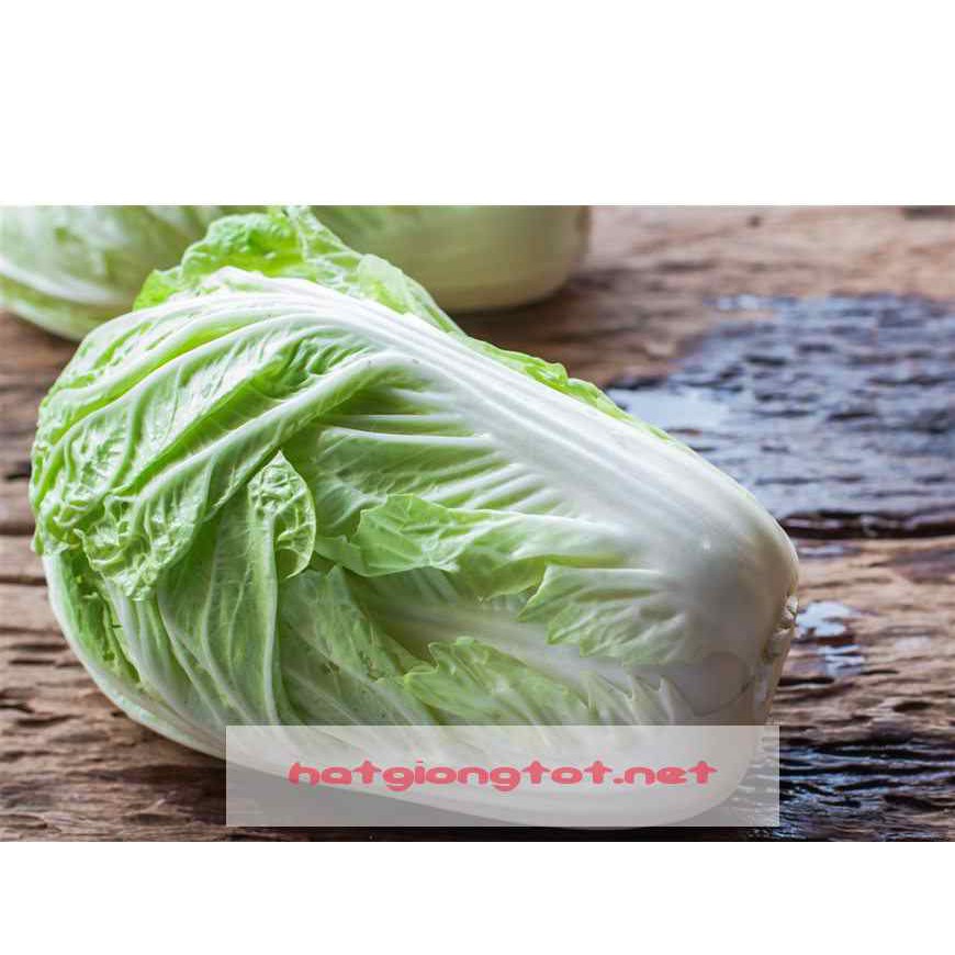 Freeship 99k TQ_hạt giống cải thảo