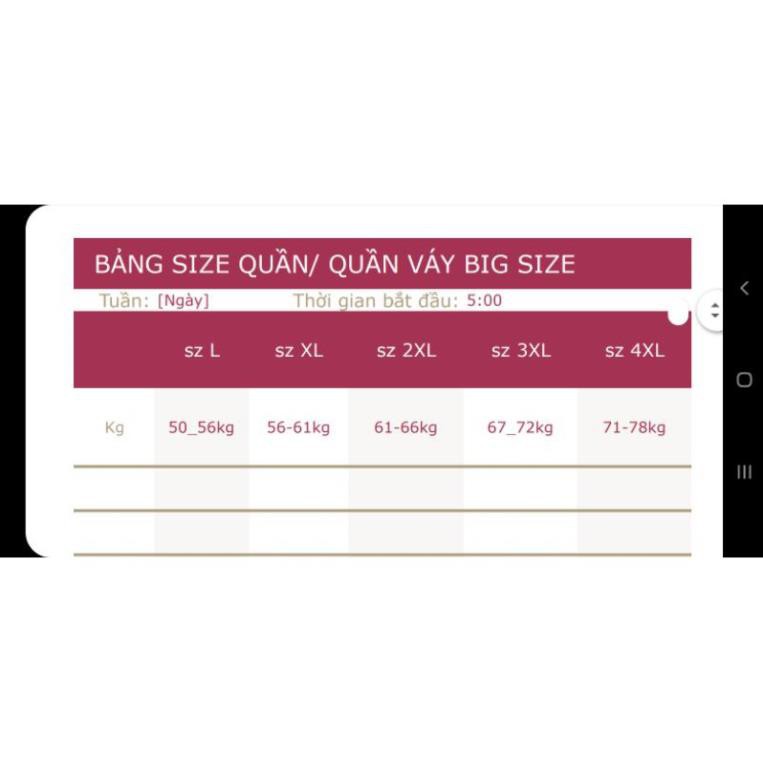 (Chuyên Big size)Quần giả váy phối khoen G010 ⚡ ་