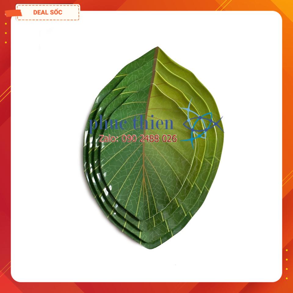Dĩa Hột Xoài Lá Cao Cấp VIỆT NAM
