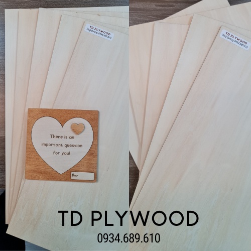 Gỗ Ép Nhập Khẩu Plywood - Tấm Ván Gỗ Dán - Tấm Ván Ep Cắt Khắc Laser Cnc Đẹp Dùng Làm Mô Hình Gỗ 3D