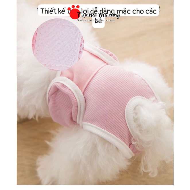 Quần chíp sinh lý cho chó mèo gái ngày rụng dâu quần chíp cho chó mèo thú cưng giá rẻ