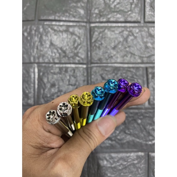 Óc Titan Gr5 Đầu Salaya 6li65 Gắn Lốc Nồi