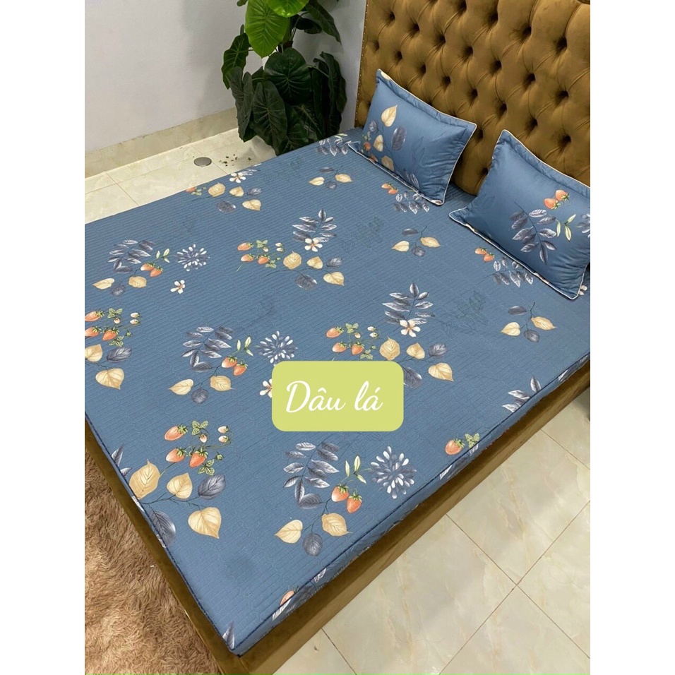 Ga chun trơn cotton hàn quốc, tặng kèm 2 vỏ gối nằm, mẫu mới 2022