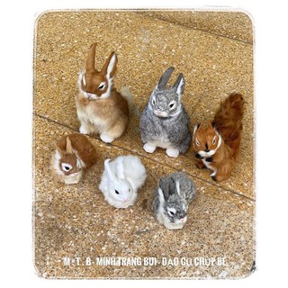 thỏ đạo cụ chụp hình bé