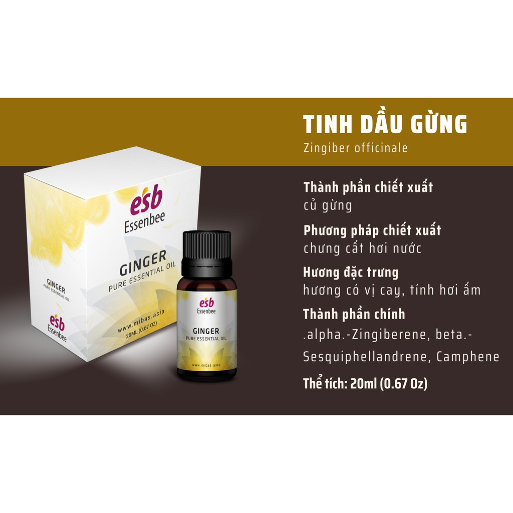 Tinh dầu Gừng – Essenbee – 20ml