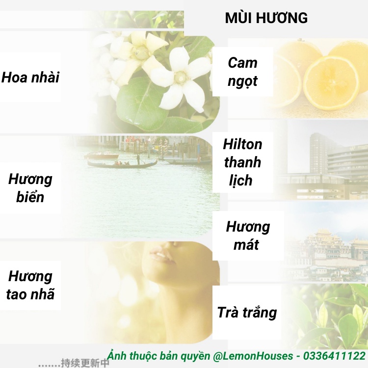Máy khử mùi nhà vệ sinh, làm thơm phòng CACW tặng kèm tinh dầu hàng nội địa Trung hàng chính hãng