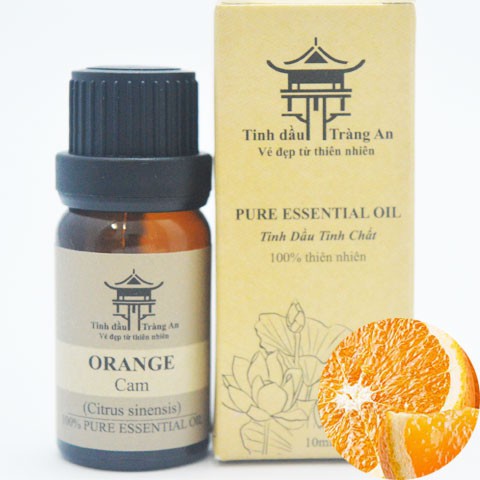 Tinh Dầu Thiên Nhiên Nguyên Chất Chai Nhỏ Giọt 10ml, Chai Treo Xe Hơi - TINH DẦU TRÀNG AN