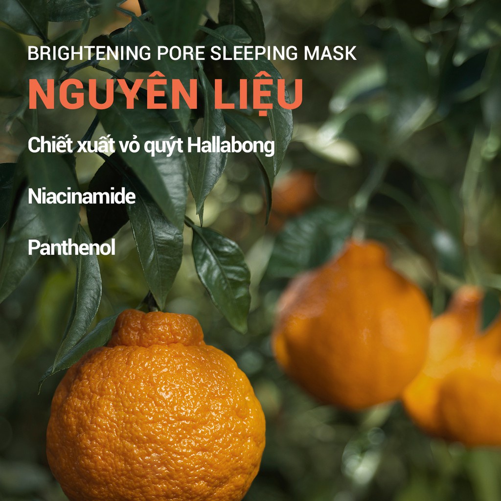 [Mã COSIF05 giảm 10% đơn 400K] Mặt nạ ngủ dưỡng sáng da 3 trong 1 innisfree Brightening Pore Sleeping Mask 100ml