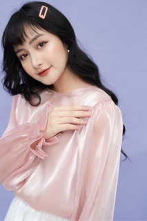 Sheer top - Áo kính organza