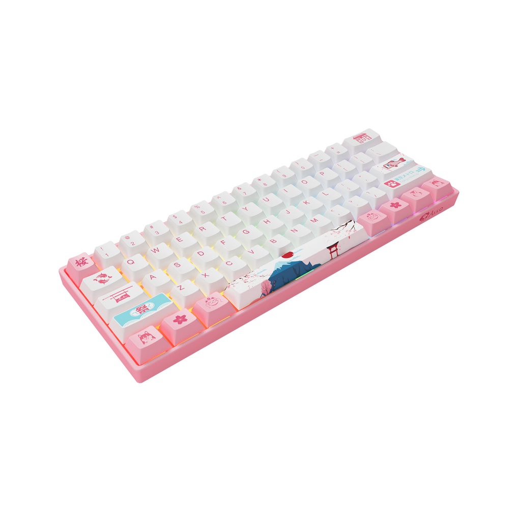 Bàn phím cơ AKKO 3061 World Tour Tokyo R2 RGB (Gateron switch / Pre-Lubed/ Hot swap/Foam tiêu âm/RGB)