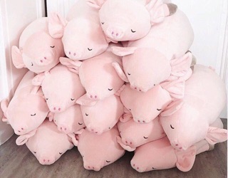 Gấu bông lợn hồng