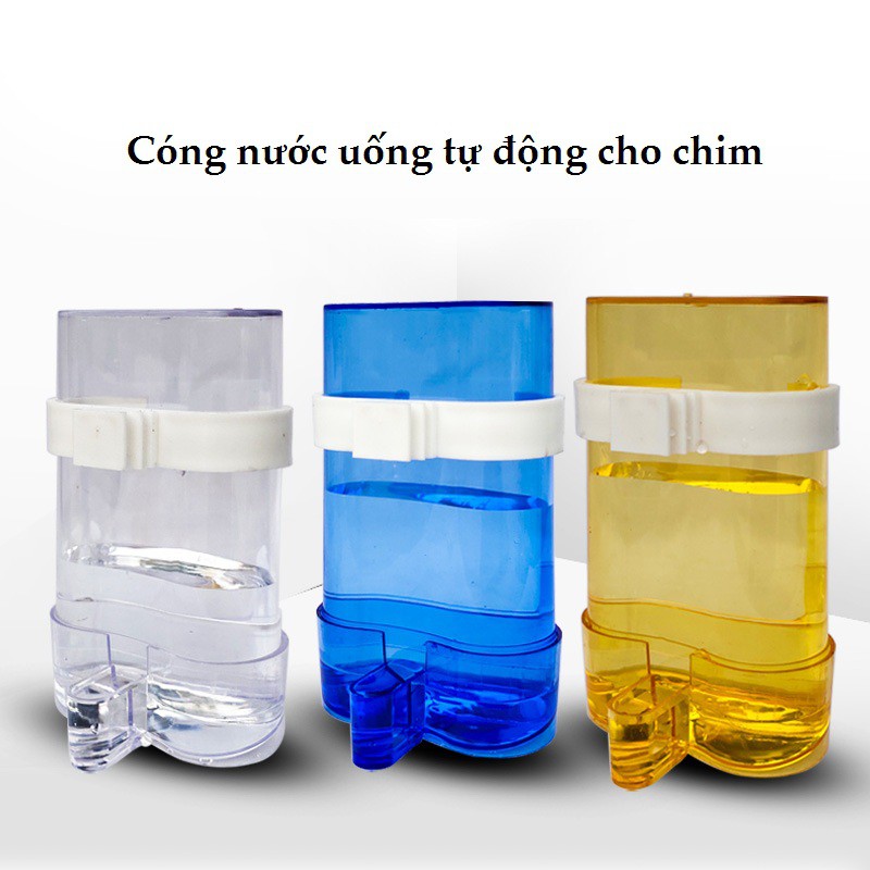 Cóng đựng thức ăn nước uống tự động cho chim