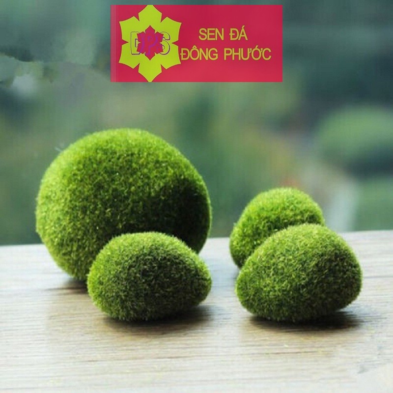 Rêu xanh giả - Phụ kiện làm tiểu cảnh sen đá, xương rồng, cây phong thuỷ văn phòng đẹp