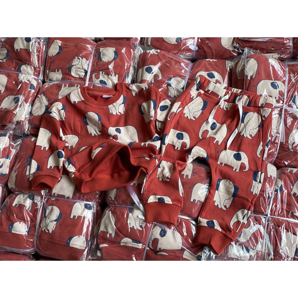 TD0279 bộ nỉ voi cam