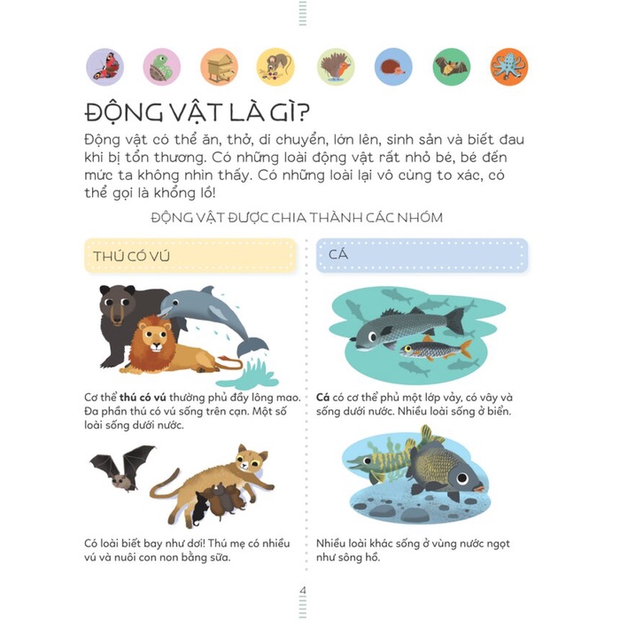 Sách thiếu nhi - Động vật - Bách khoa thư tiểu học Larousse