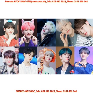 CARD IN FULL HOSHI SEVENTEEN (NHIỀU MẪU)