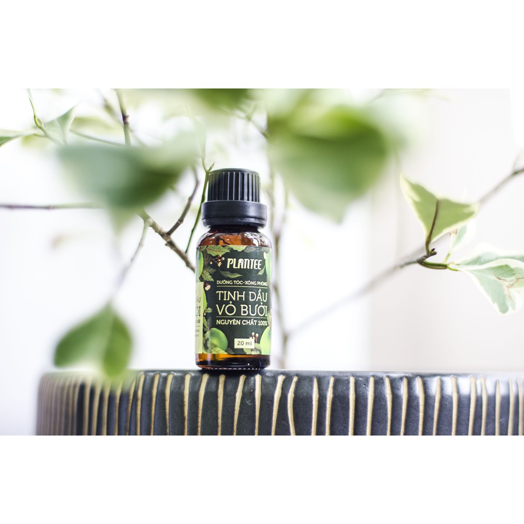Tinh Dầu Bưởi🍁FREESHIP🍁 Tinh Dầu Bưởi Nguyên Chất Plantee Kích Thích Mọc Tóc [tinh dau] | BigBuy360 - bigbuy360.vn