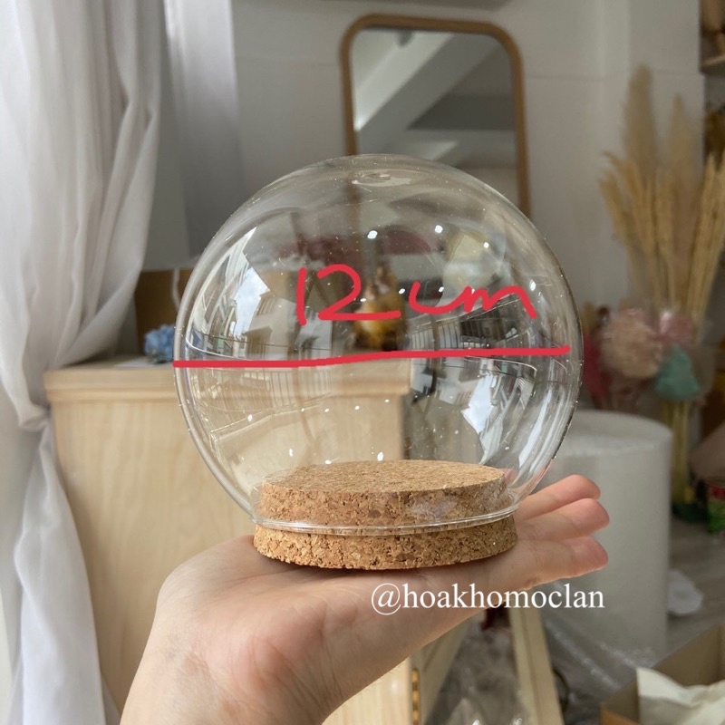 Chụp thuỷ tinh hoa hồng khô bất tử không tàn *HOA KHÔ MỘC LAN* | BigBuy360 - bigbuy360.vn