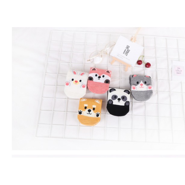 Set vớ cotton thun hình chó cute