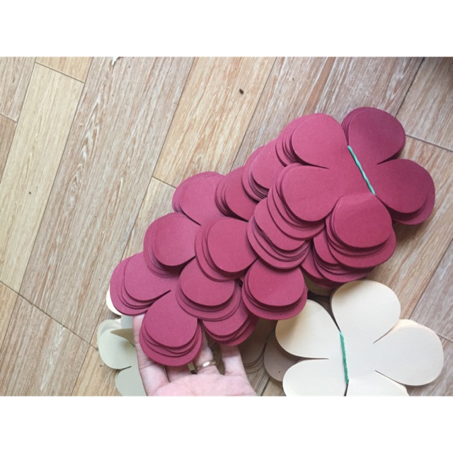 sét cánh mỹ thuật 800k
