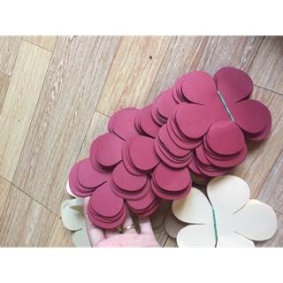 Sét cánh mỹ thuật 800k