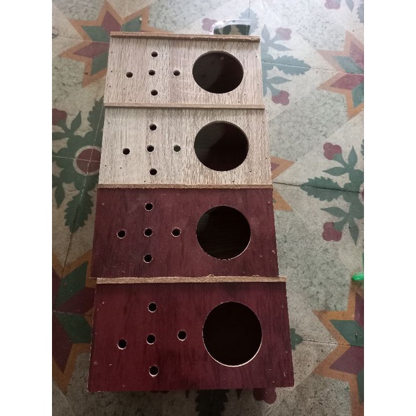 Tổ ổ đẻ chim yến phụng