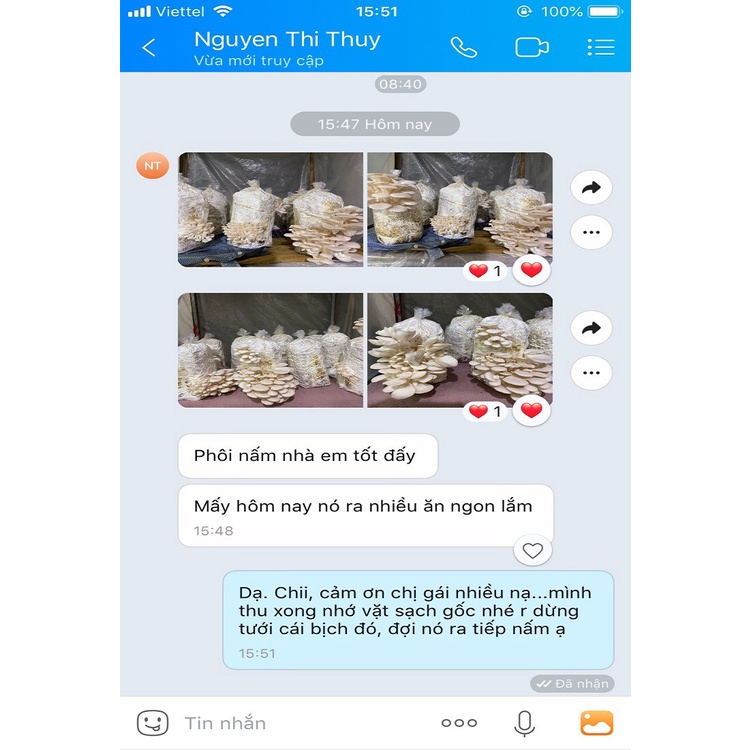 Combo 9 Phôi Nấm Sò Cao Sản Giá Tại Trại - Trồng đủ 3-4 người ăn thoải mái