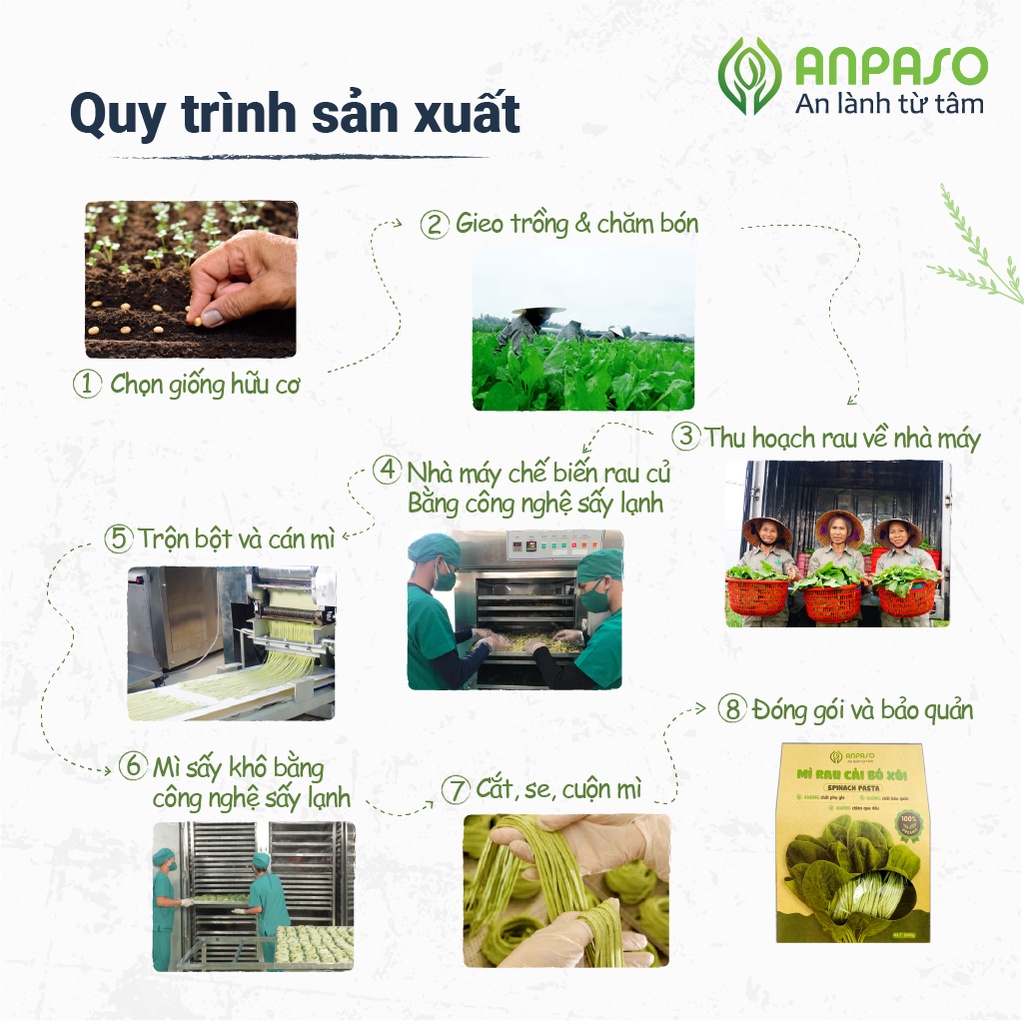 Mì Rau Củ Giảm Cân Organic Hữu Cơ Cải Bó Xôi Anpaso, mỳ rau củ Eat clean, ăn chay, không chiên nóng 300g