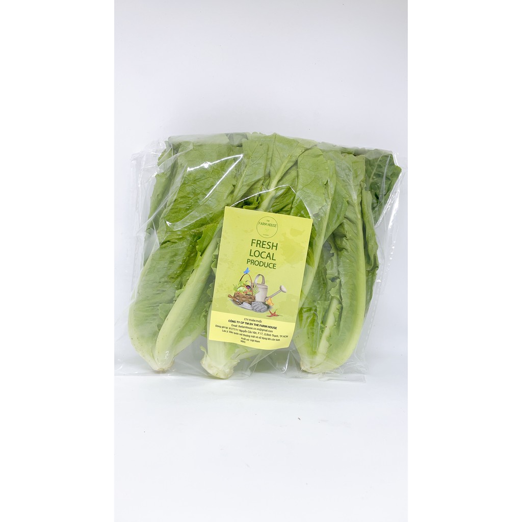 XÀ LÁCH LA MÃ XANH (SALAD ROMAINE) 500GRAM