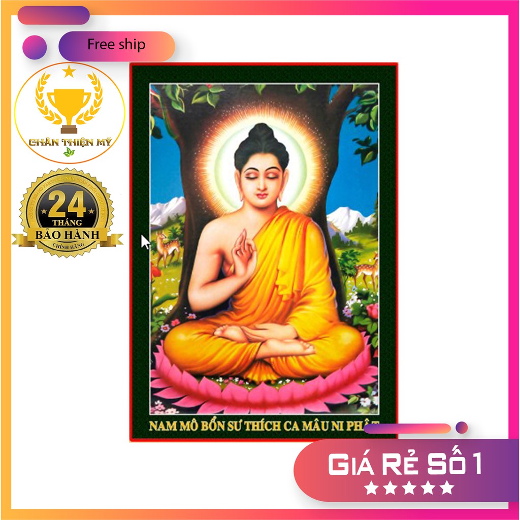 Tranh Điện Phật Thích Ca PL5