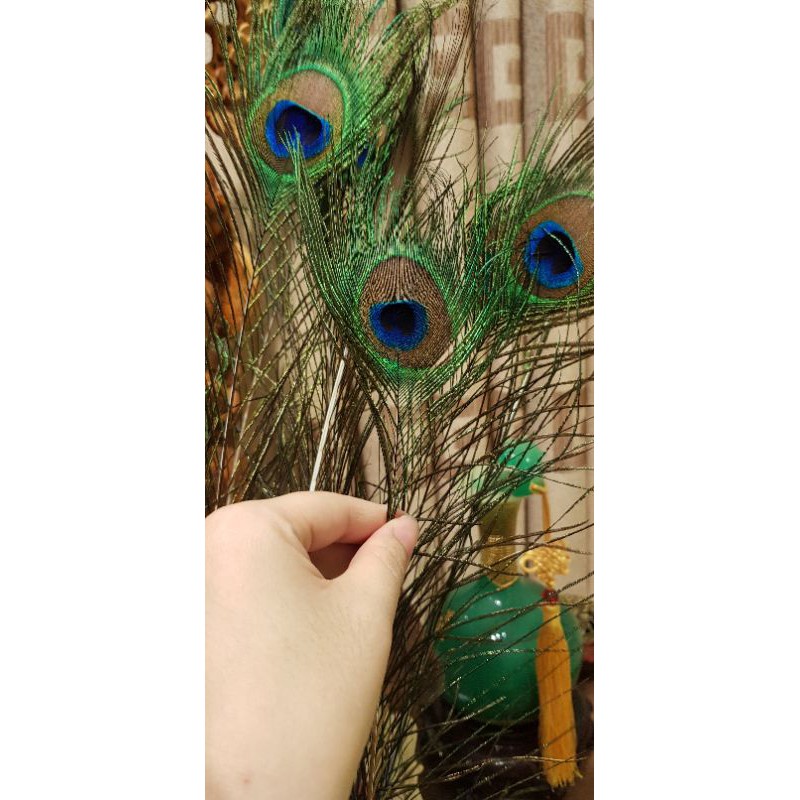 combo 108 lông công phong thủy dài 80-100cm (ảnh thật) | BigBuy360 - bigbuy360.vn