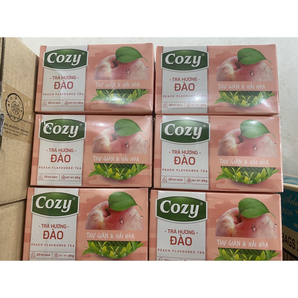 Trà Cozy Túi Lọc Hương Nhài, Sen, Dâu , Đào, Bạc Hà Hộp, Trà Xanh