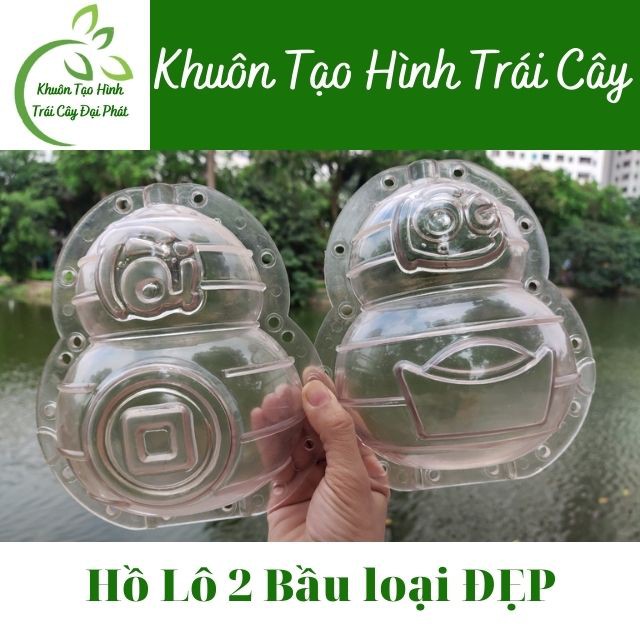 10 Khuôn Hồ Lô 2 Bầu Cứng , Khuôn Tạo Hình Trái Cây Bưởi, Dưa, Đào Tiên