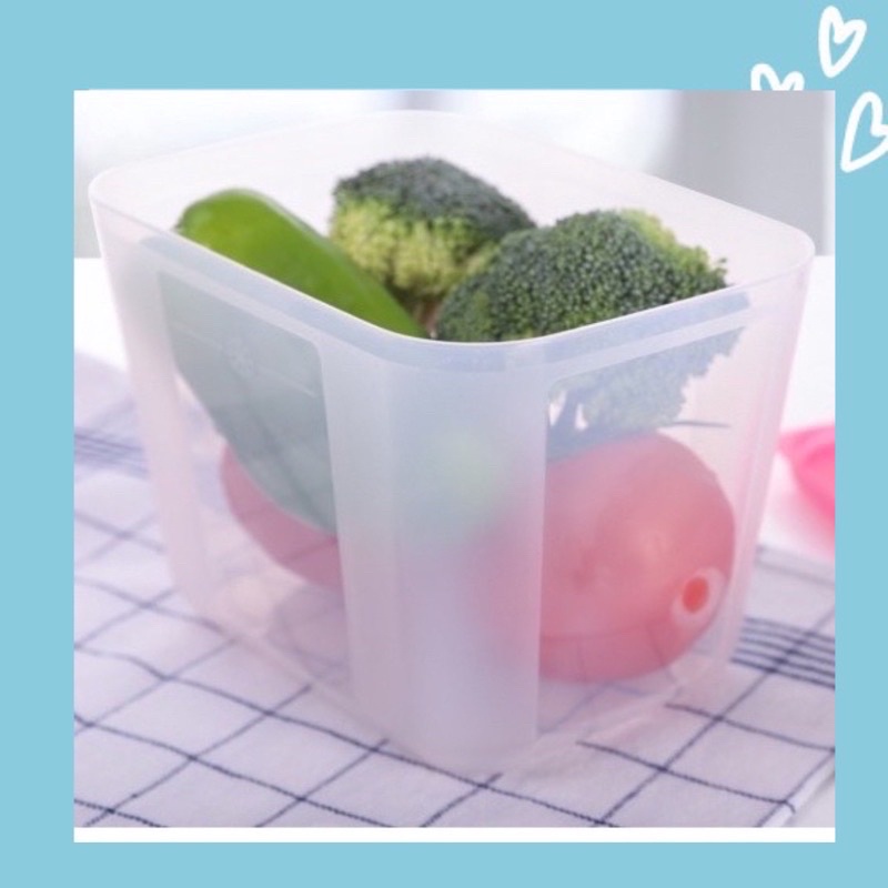 Hộp Nhựa 1,2L Trữ Đông Tupperware - Trữ Thực Phẩm Thịt Cá Tôm Rau Củ - Đựng Đồ Ăn Dặm Cho Bé