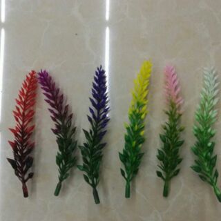1 kg cỏ điểm