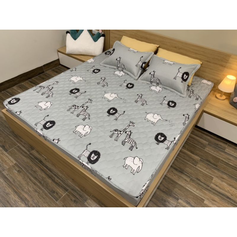 ga gối cotton poly chun trần bông