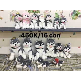 Set gaua bông alaska