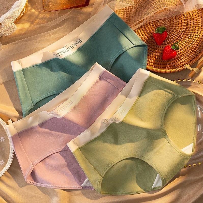 Quần Lót Nữ Cotton Cạp Su Chữ Kháng Khuẩn Màu Sắc Trẻ Trung Cao Cấp - 8858