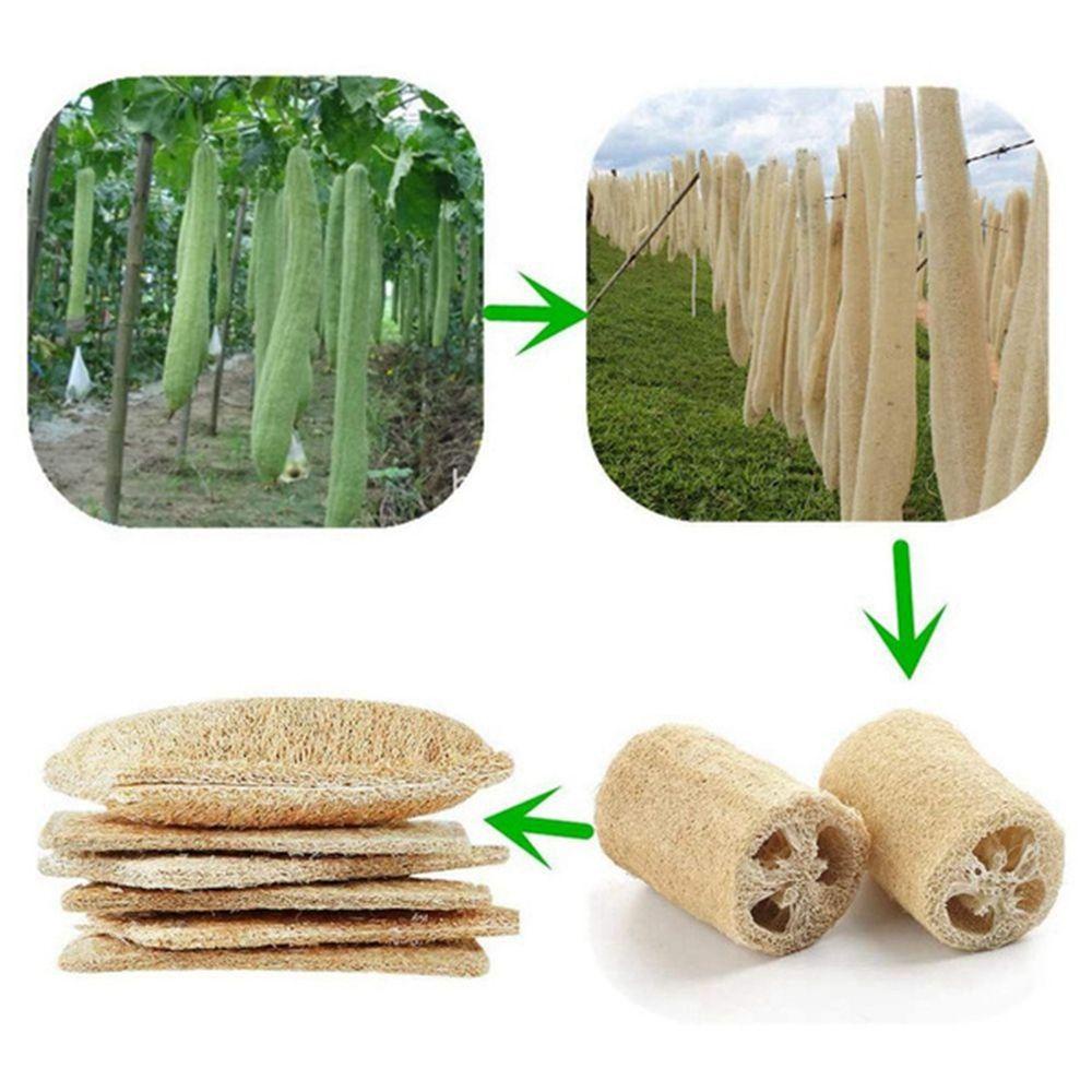 Khăn Lau Chén Dĩa Siêu Bền Tiện Dụng