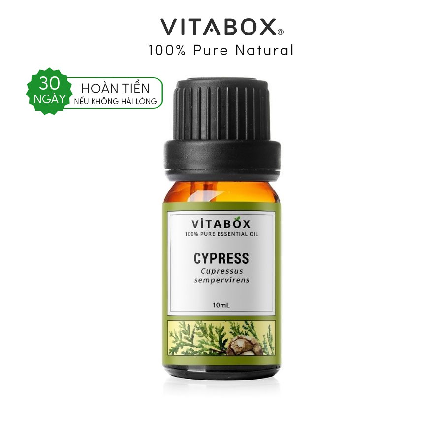 Tinh Dầu Trắc Bác Diệp Cypress VITABOX 100% thiên nhiên nguyên chất – pure essential oil
