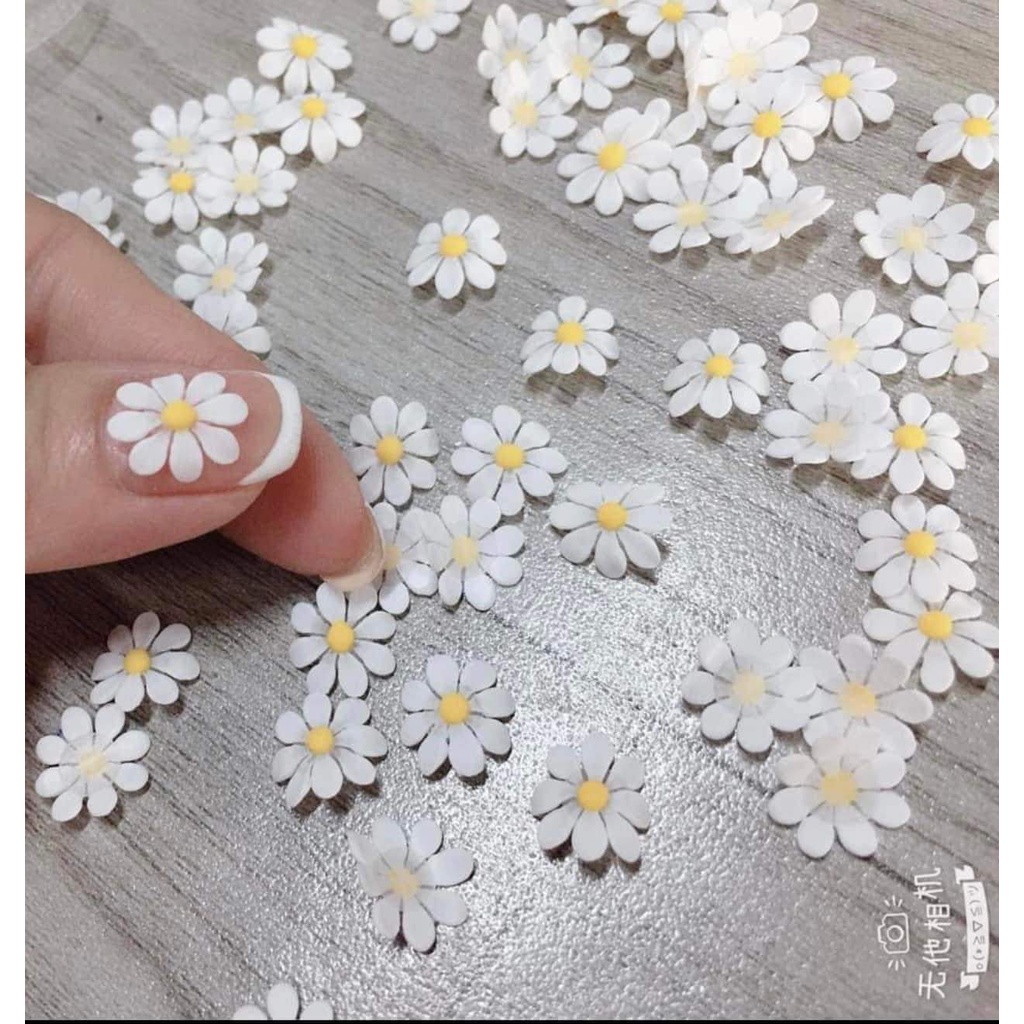 Hoa cúc bột gắn móng nail