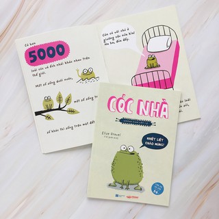 Những Sinh Vật Í Ẹ - Cóc Nhà