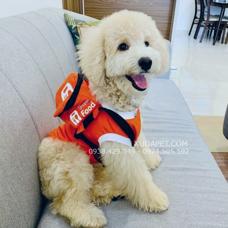 ÁO COSPLAY SHIPPER KÈM TÚI SHOPEE SIÊU CUTE CHO CHÓ MÈO
