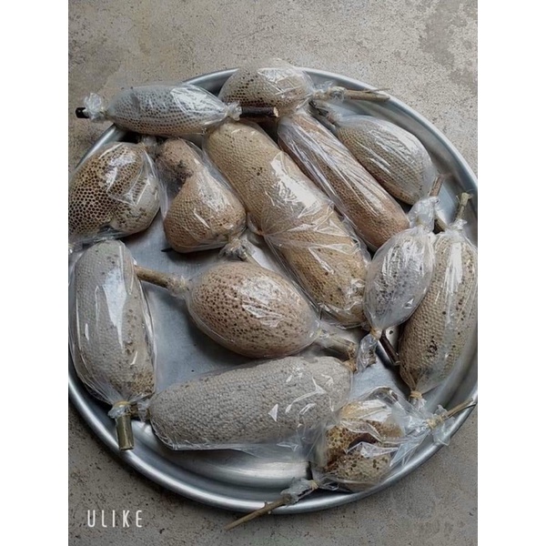 Mật ong ruồi rừng nguyên chất