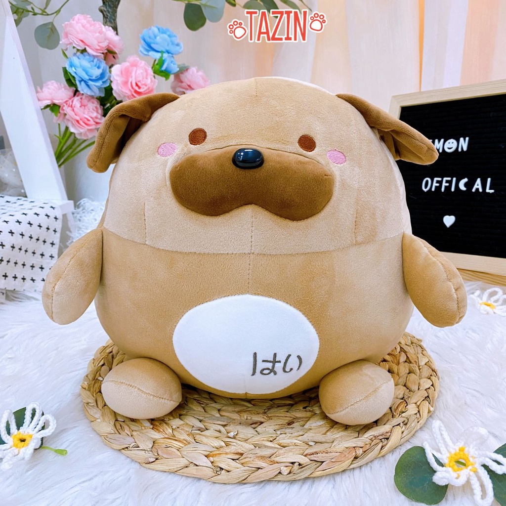 Thú Bông Hàn Quốc Size 25cm Mềm Mại - Gấu Bông Tazin Cao Cấp