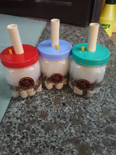 Lọc bio chế. Lọc cặn hồ cá